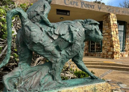 Cape Point Tour Thumb