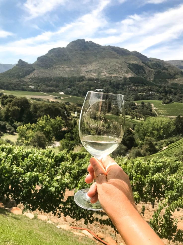 Wine Tasting Tour Thumb